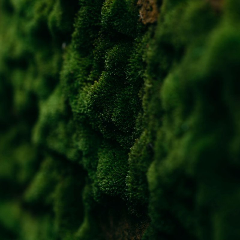 绿色低碳生物制药转型：无菌自循环超低功耗发酵罐与高能效热交换CIP清洗绿色趋势