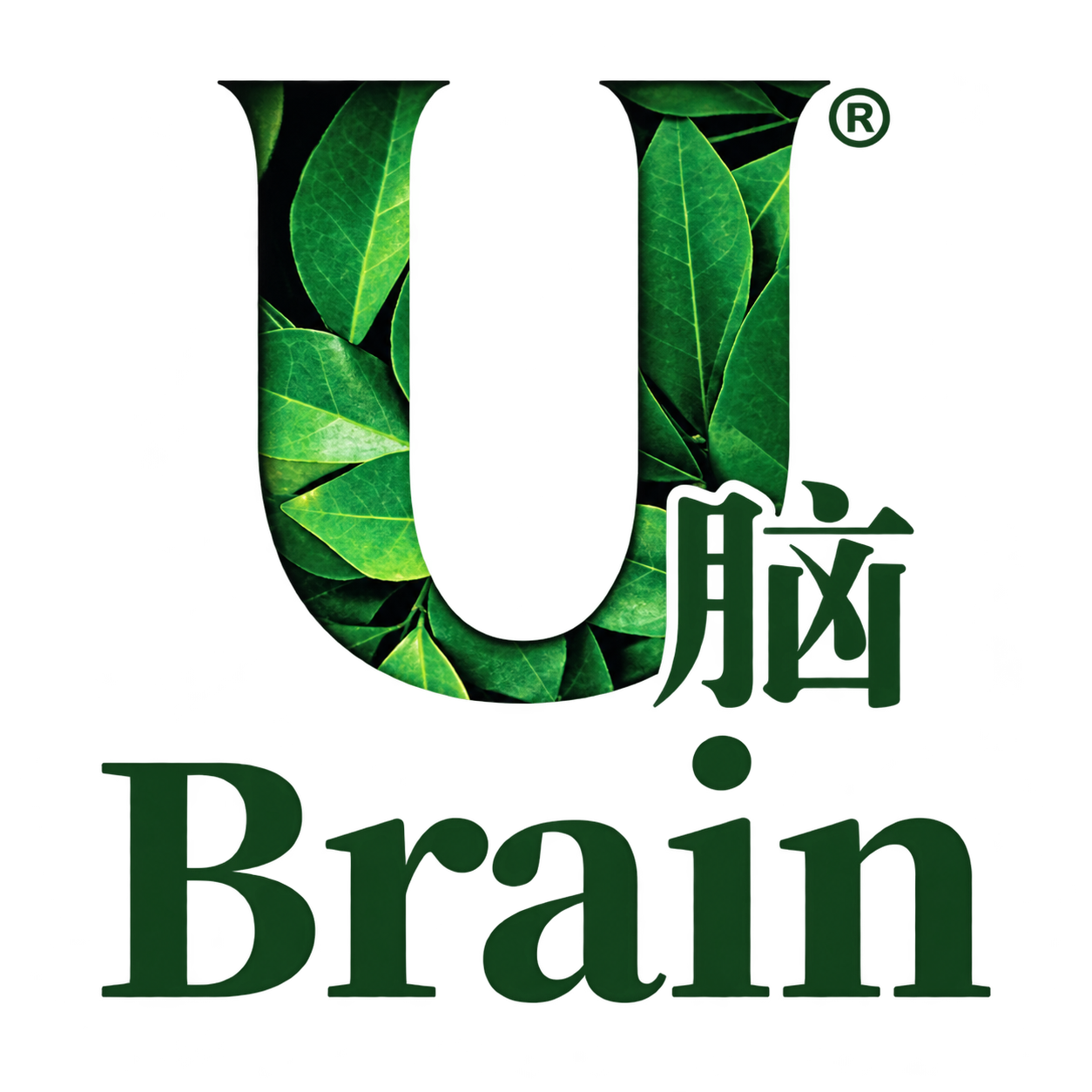 Ubrain中国区