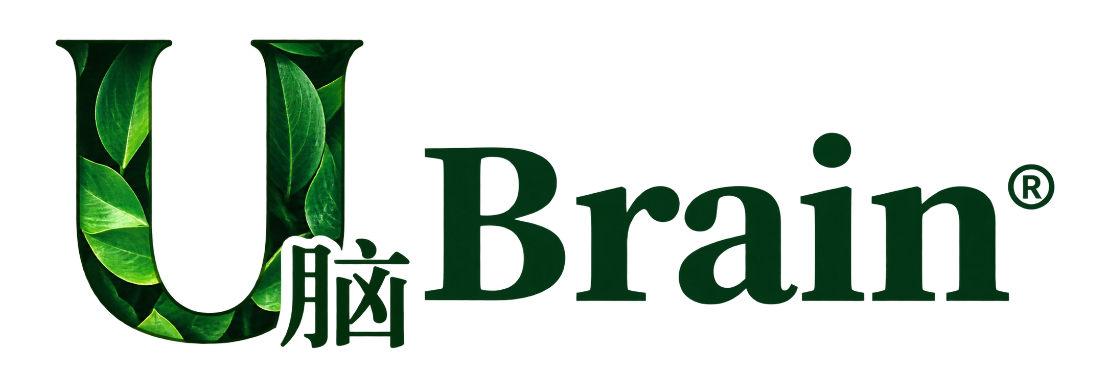 Ubrain中国区